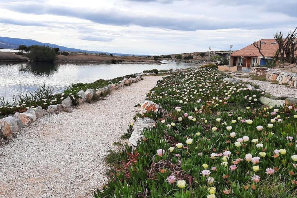 Maisonnette Entre Etang Et Plage Лёкат Экстерьер фото
